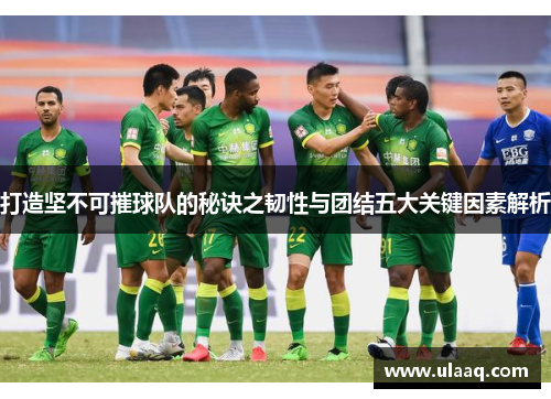 打造坚不可摧球队的秘诀之韧性与团结五大关键因素解析